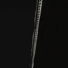 Coexistence, conflict, combat