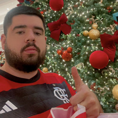 MC PL ALVES & GW - NO NATAL ELA VAI TOMANDO x 25 É NATAL 31 É ANO NOVO ((D-JAY)) FELIZ NATAL KKKKKKK