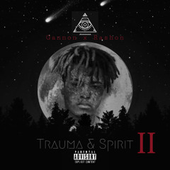 Trauma & Spirit II [Prod. llouis]