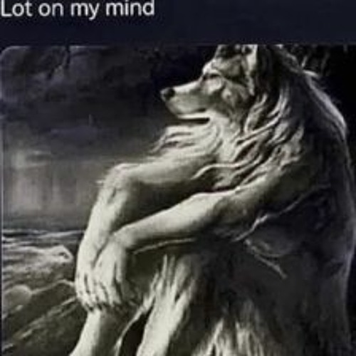 typa shit i been on