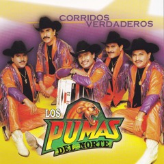 Stream Ojitos Negros by Los Pumas del Norte | Listen online for free on  SoundCloud