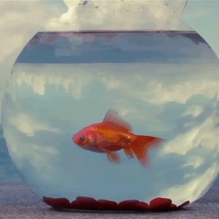 FISHBOWL (Prod.G)