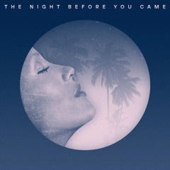 The Night Before You Came