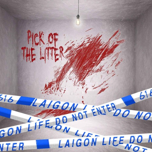 Jaxxon D. Silva - PICK OF THE LITTER