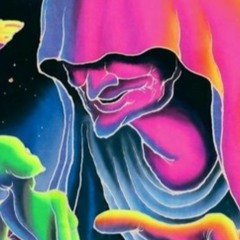 segev official & Mandala Boom  taim travel