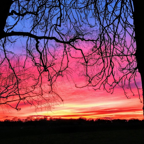 Guiding Star : ) Dave McDonald