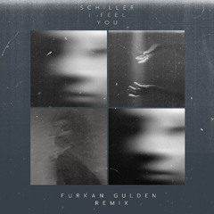 Schiller - I Feel You (Furkan Gulden Remix) *FreeDownload