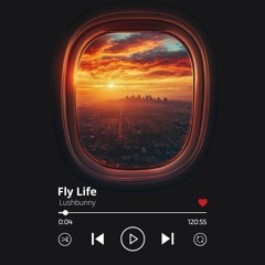 Fly Life - Recorded Live Above Los Angeles