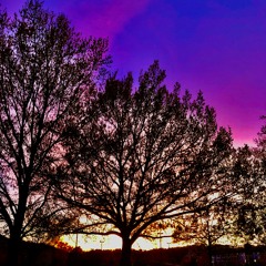 i love you by billie eilish (cover...in the rain)