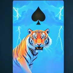 I am Ace-Arcadia  .mp3