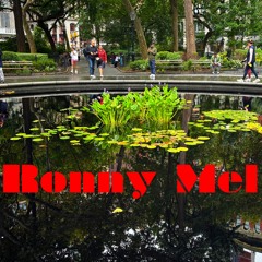 Ronny Mel
