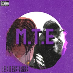 M.T.E Prod.Lanalizer USA