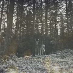 I Will Be Back One Day