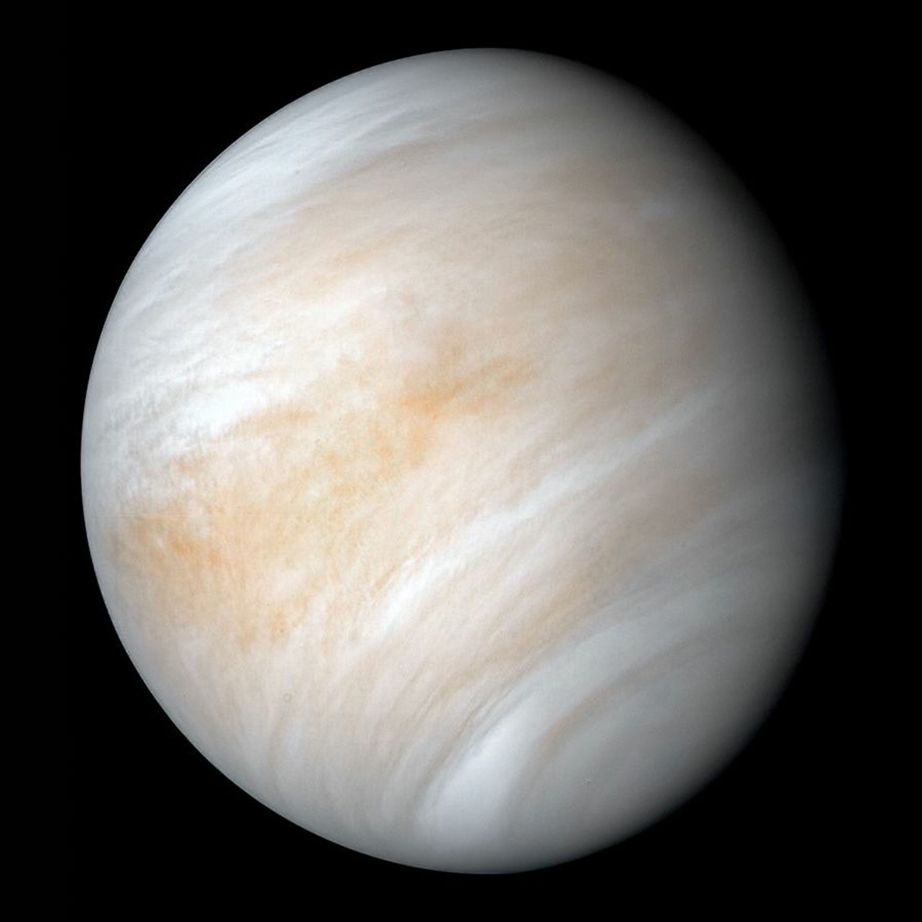 Venus episode artwork