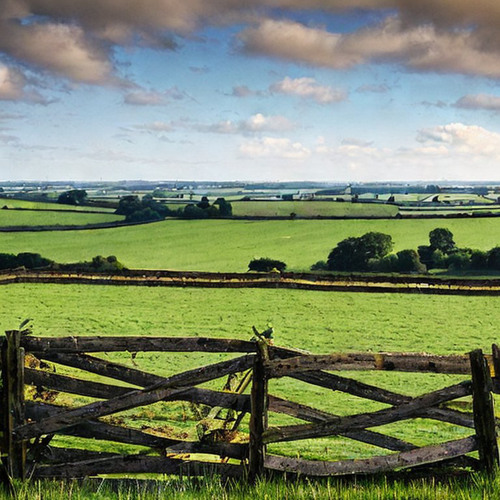 The Road Through the Country