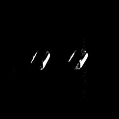 | | |   CACOPHONY   | | |