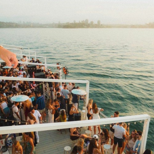 Bokira mushuk fotografiyasi