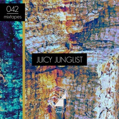 Samsara Beats Mixtapes | 042 | Juicy Junglist