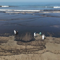 Stretches w/ Will Shanks - February 2022