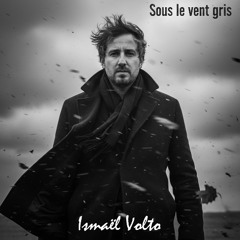 Sous le vent gris
