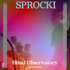 blind observatory @ sprocki festival 2025