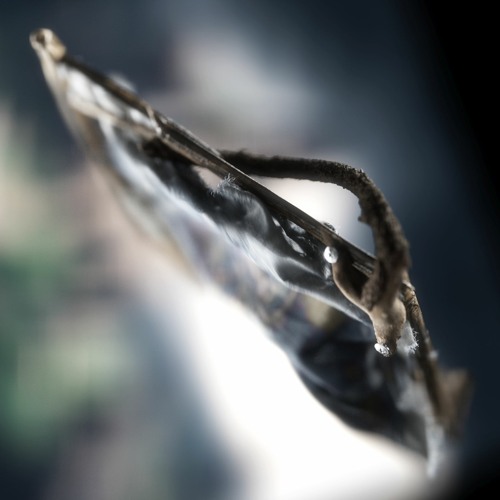 Hello World (nunu ntp remix)