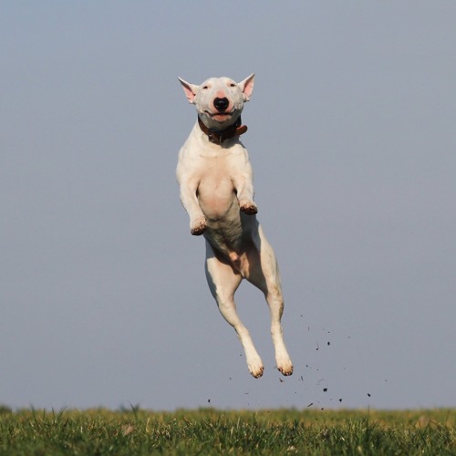 正面から来ないで By ゲーカーナトゥミ