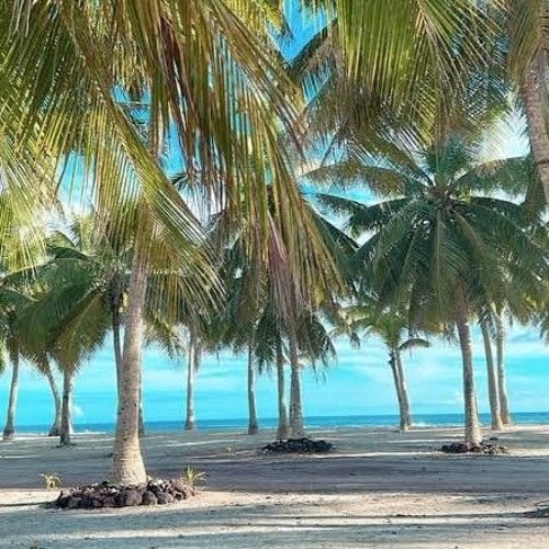 Terakey - Aue Aue Darling.mp3