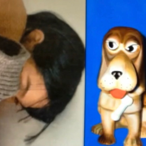 MAKKA