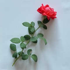 It's 222 Late (2022)