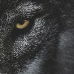 restart (prod. hima)