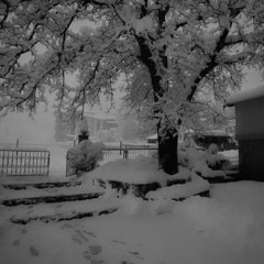 Три дня дождя, mona - прощание mylancore