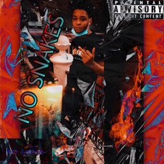 LILTRIZZ-NO SNAKES