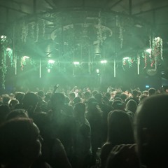 We like to wobble 🕺