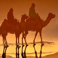 camel ride through the rain