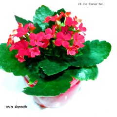 Watering The Fake Planters