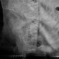 le secret - TRANSMETTRE PUTOVANJE PROLAZITI, SLIKE