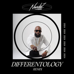 Bunji Garlin - Differentology (NandeZ Remix)
