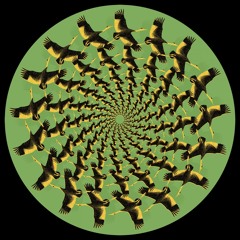Meditation Life (Dub)