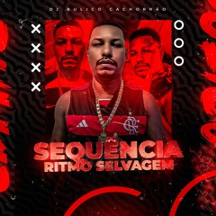 == SEQUENCIA RITMO SELVAGEM - DJ BULICO DO CACHORRAO (( DJ BULICO ))