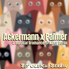 Ackermann x Palmer "a musical bromance" @ Kater Berlin