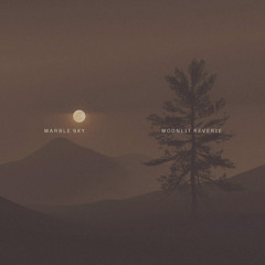 Moonlit Reverie