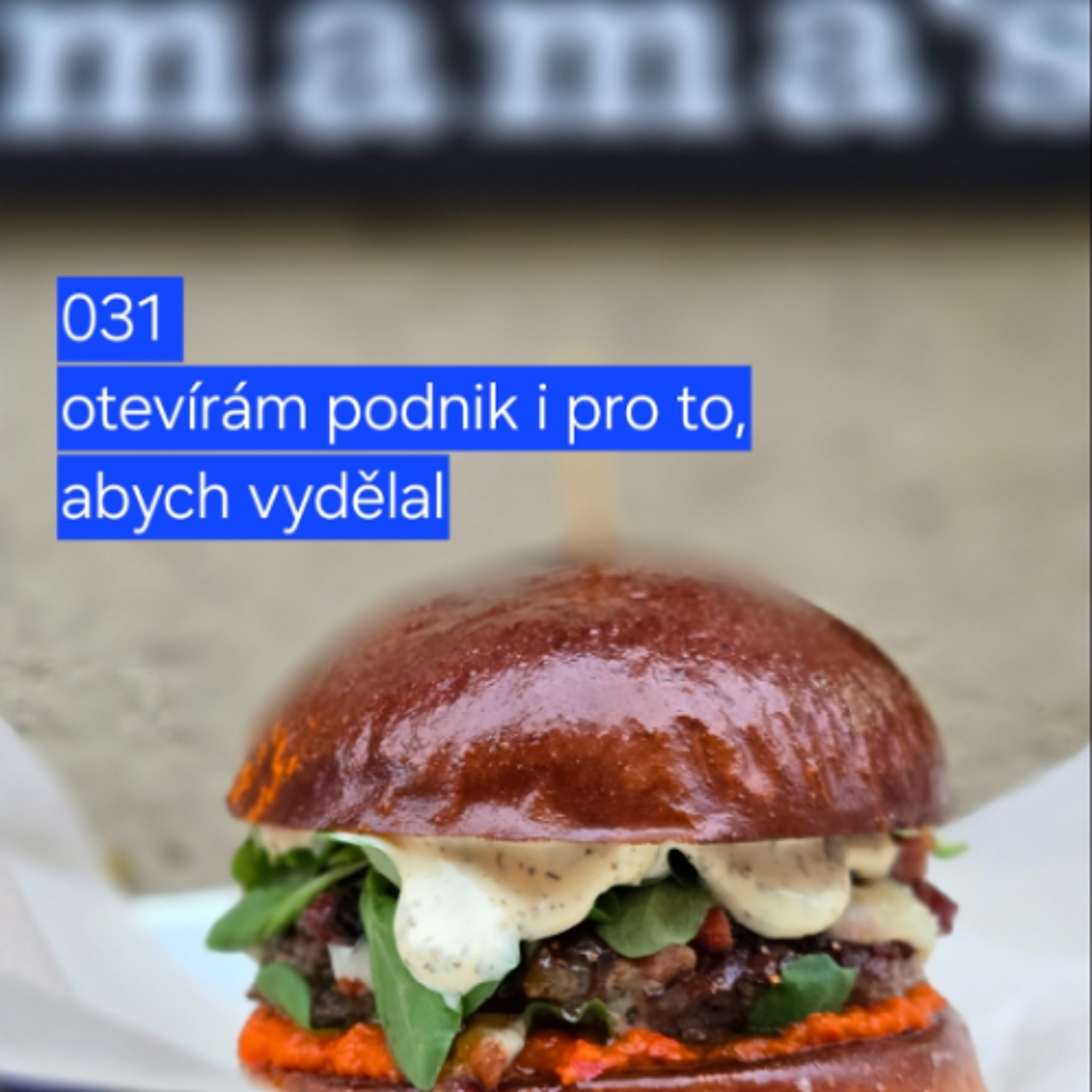031 otevírám podnik i pro to, abych vydělal