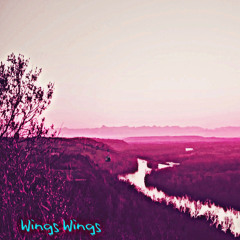 Wings Wings