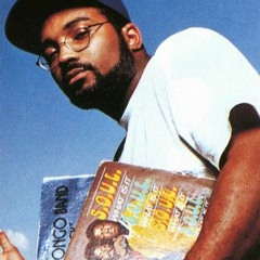 Large Professor - Pump Ya Fist Like This (Low Level Business Remix)