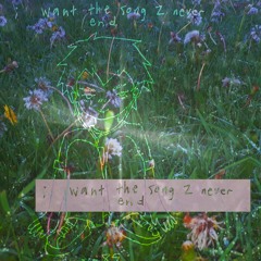 i want the song 2 never end (phixel)