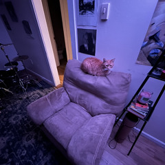 we were wrong - jit the cat (demo?)