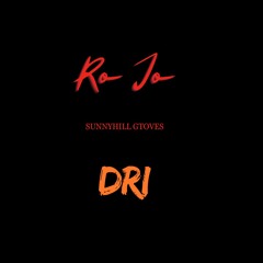 Sunny Hill Grooves ( Ro Jo x DRI )