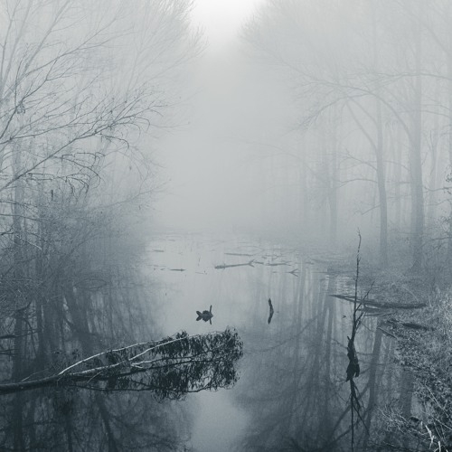 Sonic Stanza #3 "Cold Wave" | 28.01.2022