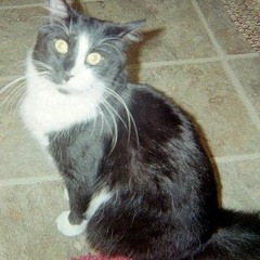 Does It Make You Wonder (C)(P) 1980-2023 jonessongs BMI/ASCAP